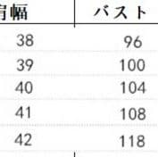 レース 服 夏の新作長袖総レースワンピース