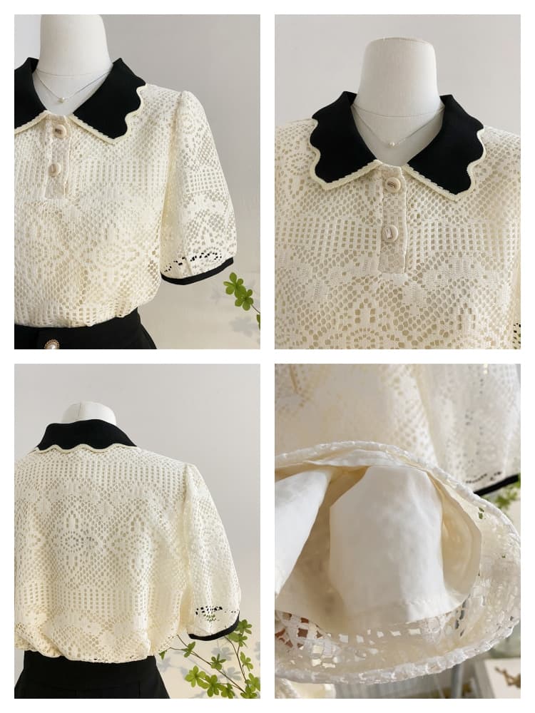 レース 服 襟付きレース半袖ポロブラウス